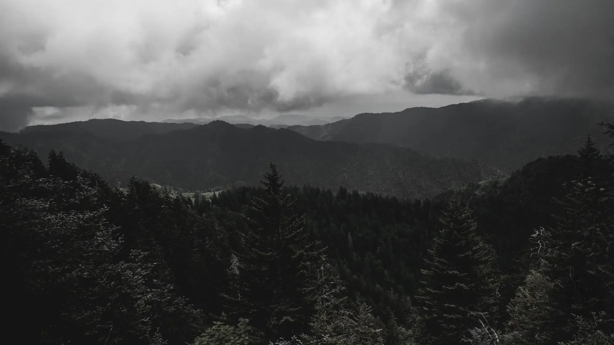 Unbroken conifer forest over a run of ridges under heavy cloud